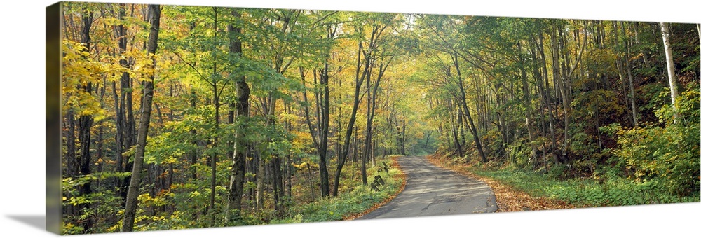 Wide angle photograph on a big canvas of a Golf Link Road leading into a dense forest of fall foliage, in Colebrook, New H...