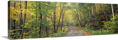Road passing through autumn forest, Golf Link Road, Colebrook, New Hampshire,