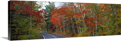 Road passing through autumn forest, U.S. Route 41, Keweenaw Peninsula, Michigan,