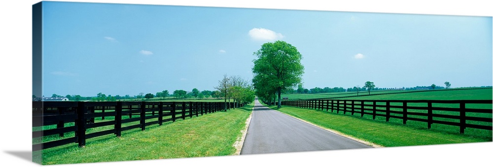 Road passing through horse farms, woodford county, kentucky, USA.