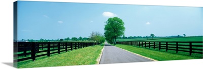 Road Passing Through Horse Farms, Woodford County, Kentucky, USA