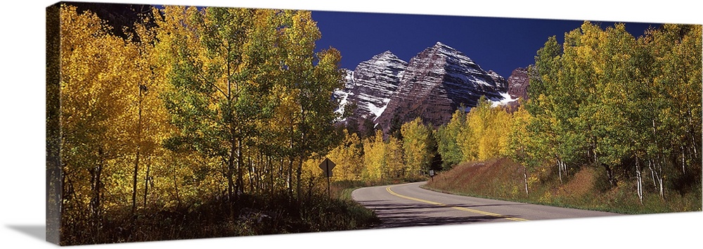 Large, horizontal photograph of a road winding through a fall colored forest, the Maroon Bells in the background beneath a...