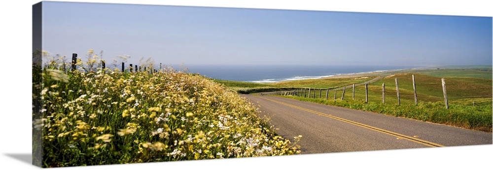 Road, Point Reyes, California, USA