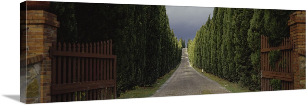 Panoramic photograph shows an open gate as it leads to a gravel road that heads into the horizon and is surrounded by a th...