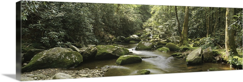 Roaring Fork Motor Nature Trail, Great Smoky Mountains National Park, Tennessee