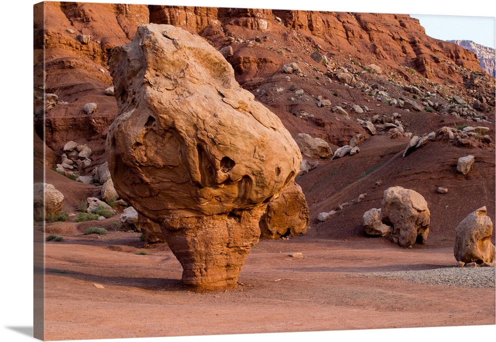 Rock formations in a desert, vermilion cliffs national monument, arizona, USA.