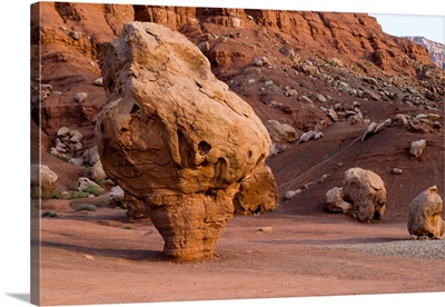 Rock Formations In A Desert, Vermilion Cliffs National Monument, Arizona, USA