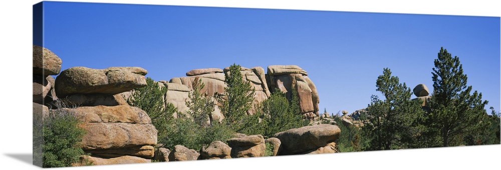 Rock formations in the forest, Vedauwoo Rocks, Medicine Bow National Forest, Wyoming