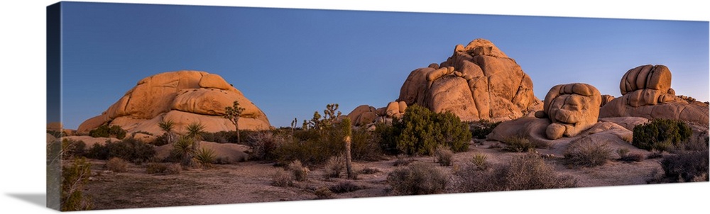 Rock formations on landscape with Juniper and Joshua Trees, Joshua Tree National Park, California, USA.