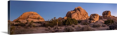 Rock formations on landscape with Juniper and Joshua Trees, Joshua Tree National Park