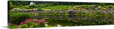 Rocks and plants in Rock Garden, Knowlton, Quebec, Canada