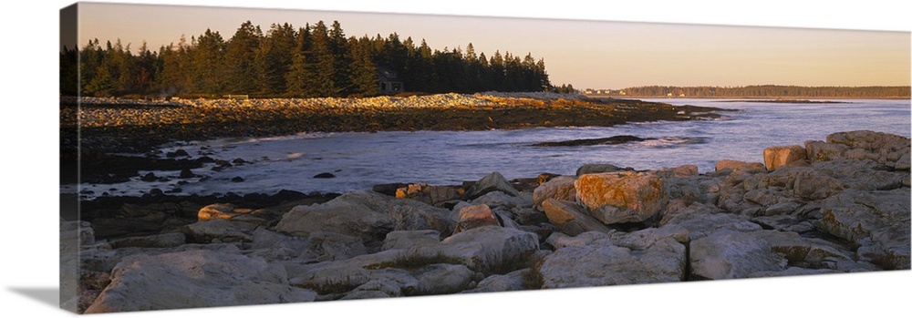 Edge of the water near a rocky shore and forest of pine trees, illuminated by the golden light of the sunset.
