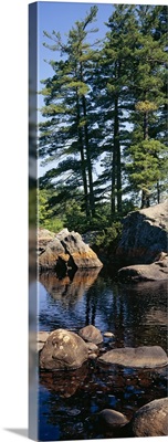 Rocks in a river, Moose River, Adirondack Mountains, New York State