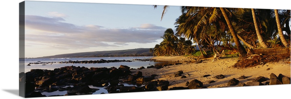 This decorative wall art is a panoramic photograph of sunset on a tropical beach covered with volcanic boulders and lined ...