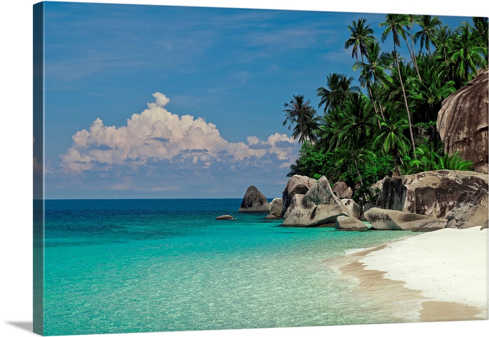 Huge boulders and palm trees line the shore of this sandy beach and clear tropical water in this landscape photograph.