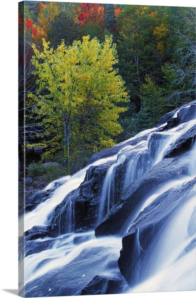 Tall photo on canvas of water rushing down a large waterfall with fall foliage in the background.