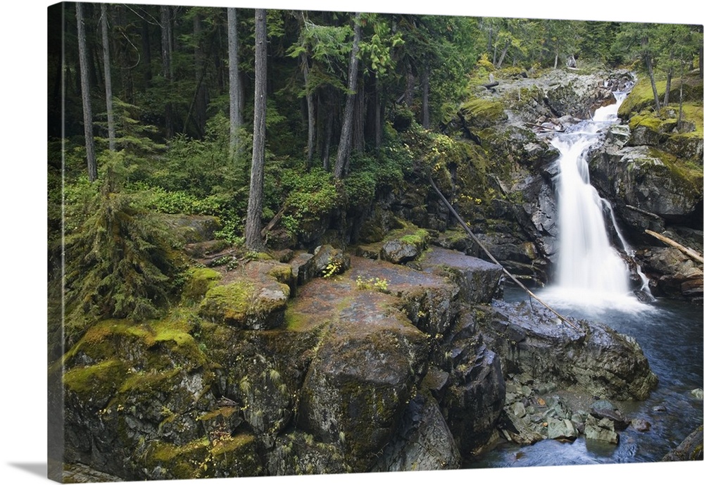 Rocky Silver Falls, Mount Rainier National Park, Washington