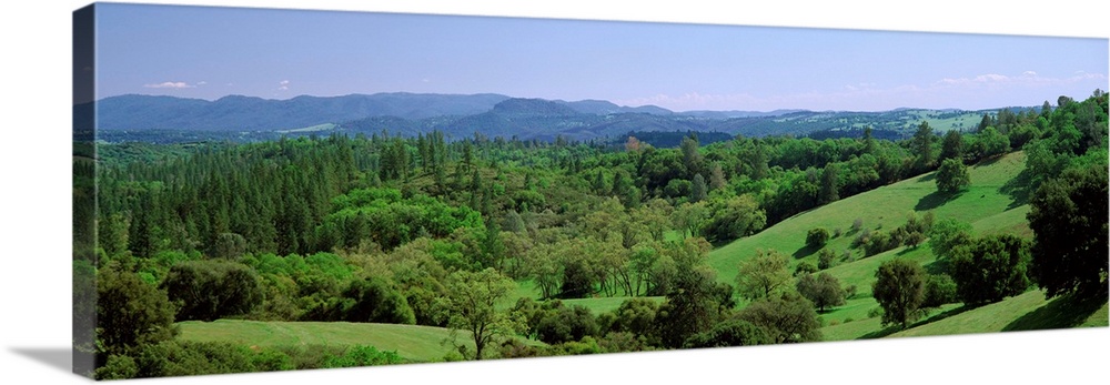 Rolling Green Hills CA