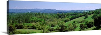 Rolling Green Hills CA