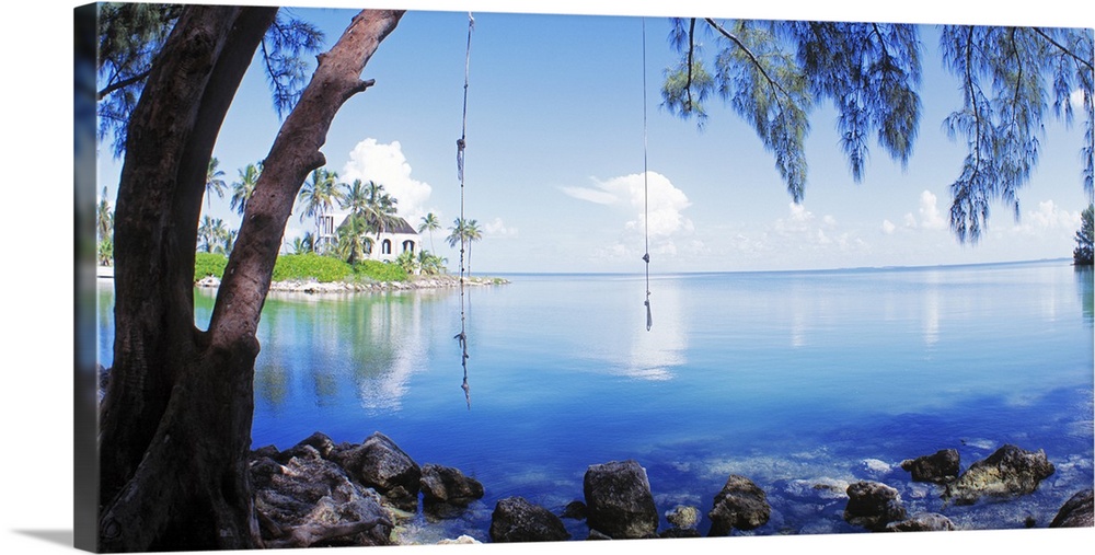 Photograph of calm Key West waters with two rope swings tied to the branch of a drooping pine tree with a small cottage in...