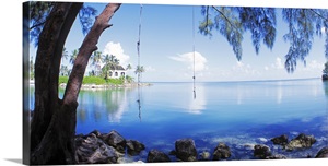 Rope Swing Over Water Florida Keys Fl