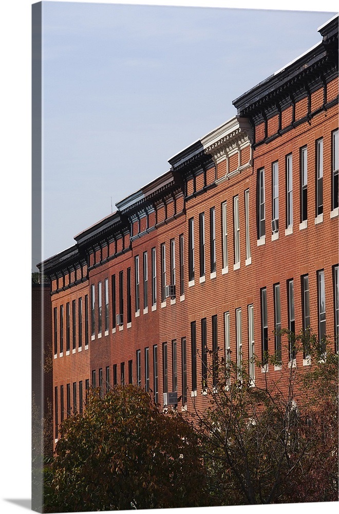 Row houses in a city, Bolton Street, Bolton Hill, Baltimore, Maryland