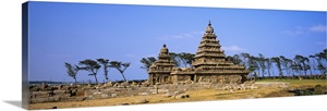 Ruins of a temple, Shore Temple, Mahabalipuram, Tamil Nadu, India image thumbnail