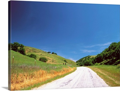 Rural road through rolling landscape