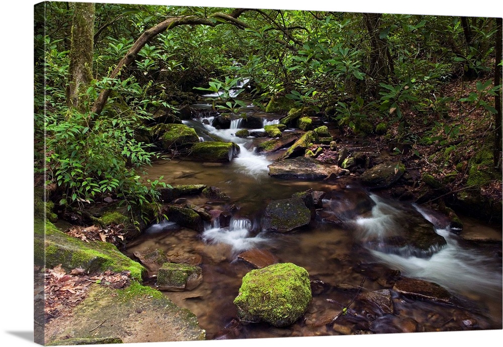 Panoramic photograph of rocky creek running through forest with moss covered rocks.