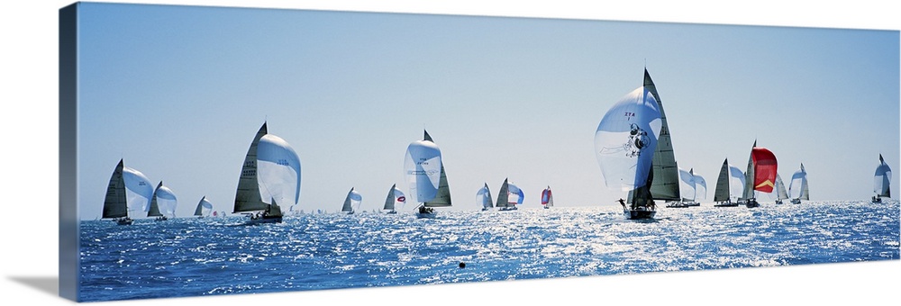Oversized, panoramic photograph of a large group of sailboats in rippling waters, sparkling in the sunlight on a clear day.