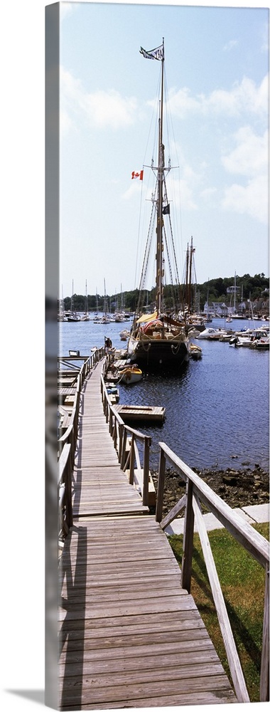 Sailboats at a harbor, Camden, Knox County, Maine,