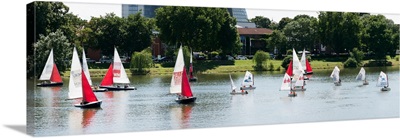 Sailboats in a lake, Lake Aasee, Munster, North Rhine-Westphalia, Germany