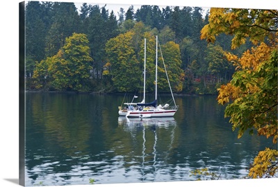 Sailboats in a lake, Washington State