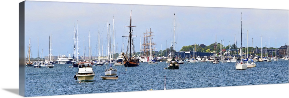 Sailboats in an ocean, Newport Harbor, Newport, Rhode Island
