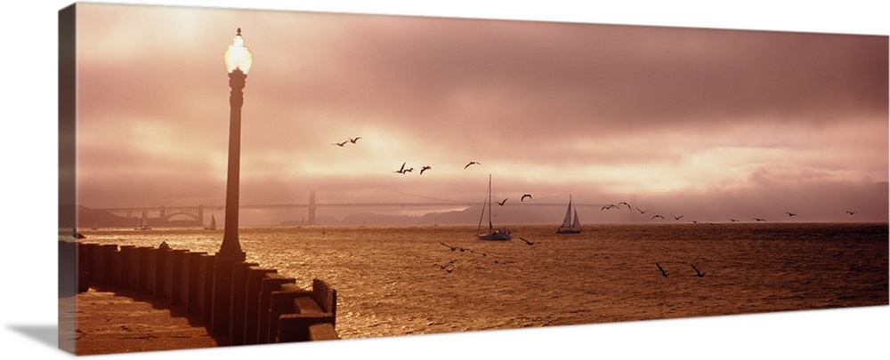 Dense fog covers most of the Golden Gate Bridge in the distance while two sail boats cruise in the water as a flock of bir...
