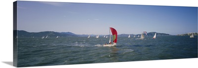 Sailboats in the water, San Francisco Bay, California