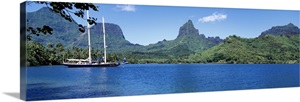 Sailboats sailing in the ocean, Opunohu Bay, Moorea, French Polynesia image thumbnail