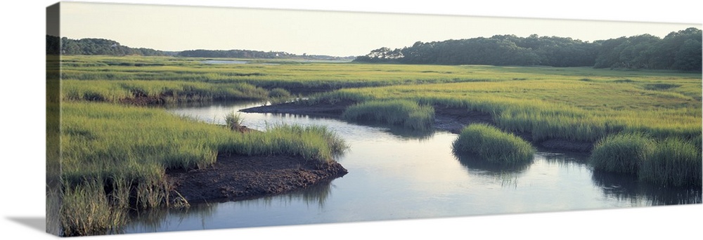 Long horizontal photo on canvas of a river running through a marshy landscape.