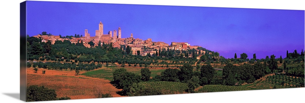 Wide angle photograph of San Gimignano in the distance, against a vibrant sky. Green landscape and a vineyard in the foreg...