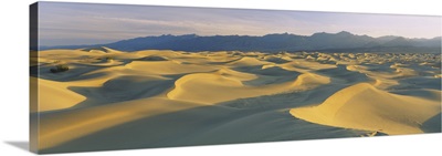 Sand dunes in a desert, Grapevine Mountains, Mesquite Flat Dunes, Death Valley National Park, California