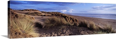 Sand dunes on the beach Saunton Sands Saunton North Devon Devon England