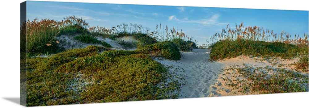 Sand on beach, Barrier Island, Outer Banks, North Carolina, USA