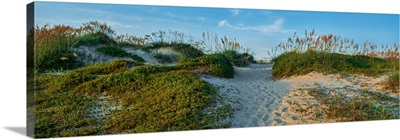 Sand on beach, Barrier Island, Outer Banks, North Carolina