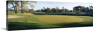 Sand trap in a golf course, Westport Golf Gourse, North Myrtle Beach, South Carolina image thumbnail