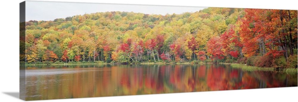 Savoy Mountain State Forest MA Wall Art, Canvas Prints, Framed Prints ...