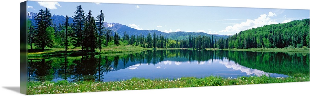 The still waters of a Colorado lake reflect the trees and clouds in this panoramic landscape photograph.