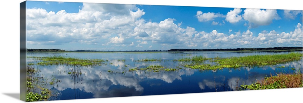 Scenic view of a lake against cloudy sky, Upper Myakka Lake, Myakka River State Park, Sarasota, Sarasota County, Florida, ...