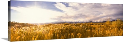 Scenic view of Bear Lake State Park at sunset, Utah