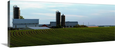 Scenic view of corn field against sky near Potosi, Wisconsin