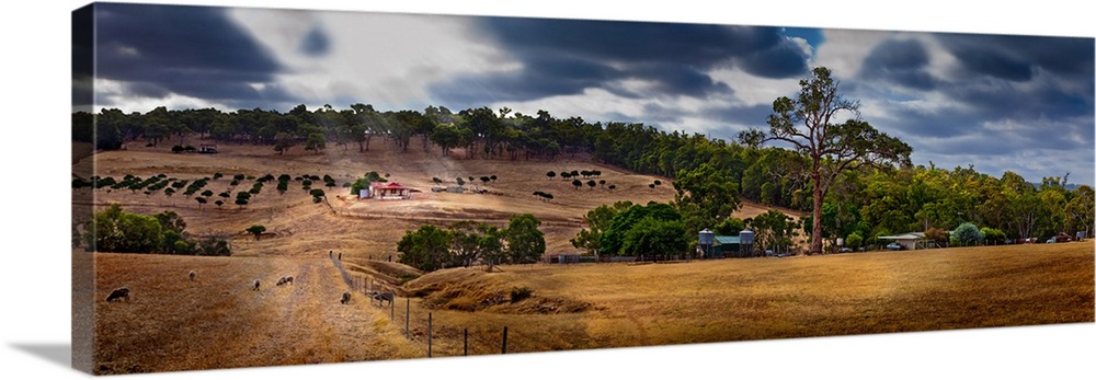 Scenic view of field against cloudy sky, Western Australia, Australia.